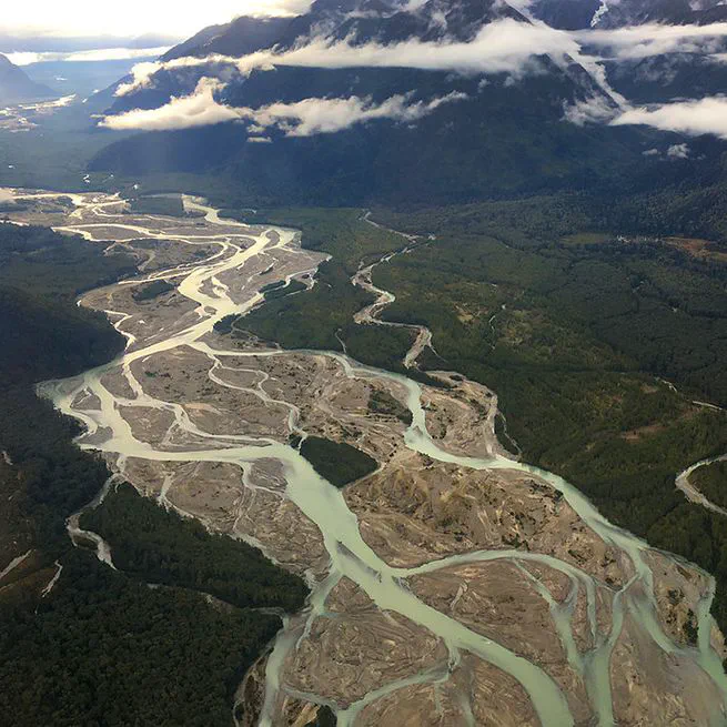 Bayesian Genetic Mark-Recapture Methods For Estimating Seasonal River Run Size Of Stock Populations