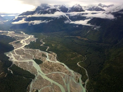 Bayesian Genetic Mark-Recapture Methods For Estimating Seasonal River Run Size Of Stock Populations featured image