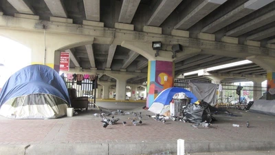 Plant-Capture Methods for Estimating Population Size from Uncertain Plant Captures featured image